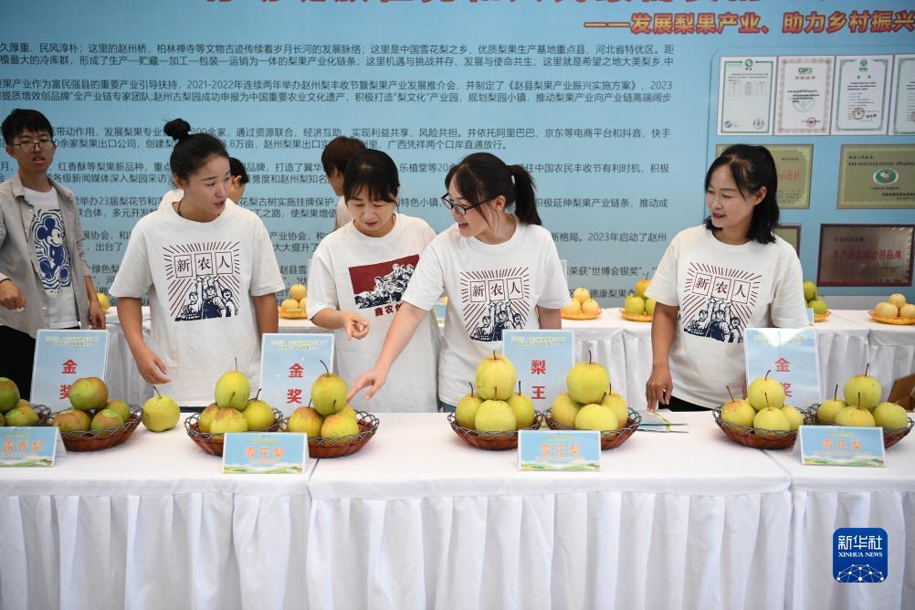 新匍京娱乐场app下载
